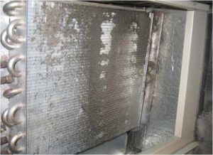 Furnace and Duct Cleaning
